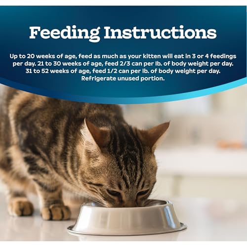 Blue Buffalo Tastefuls Wet Cat Food Pat   for Kittens, Made with Natural Ingredients | Chicken Entr  e, 3-oz. Cans (24 count )
