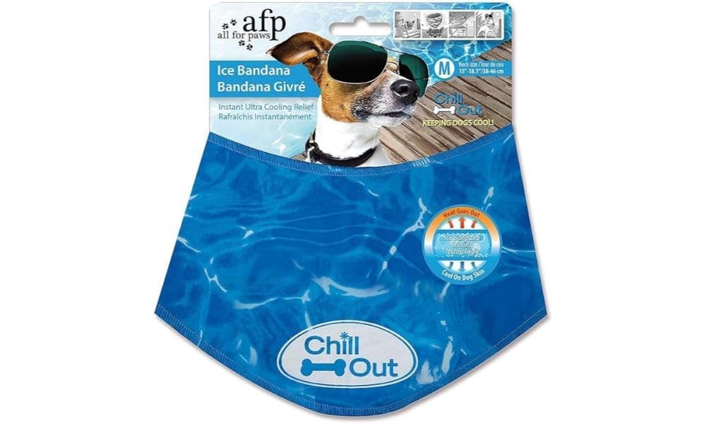 All For Paws Chill Out Ice Bandana, Small