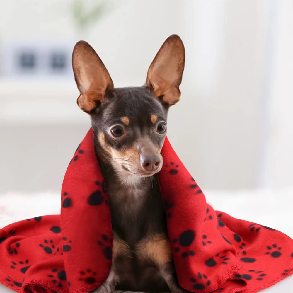 Eagmak Cute Dog Cat Fleece Blankets With Paw Prints For Kitten Puppy And Small Animals Pack Of 6 (Black, Brown, Blue, Grey, Red And White)