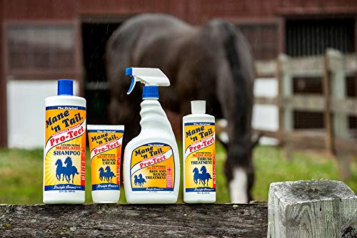 Mane 'N Tail Pro-Tect Veterinary Strength Medicated Shampoo 32 Ounce