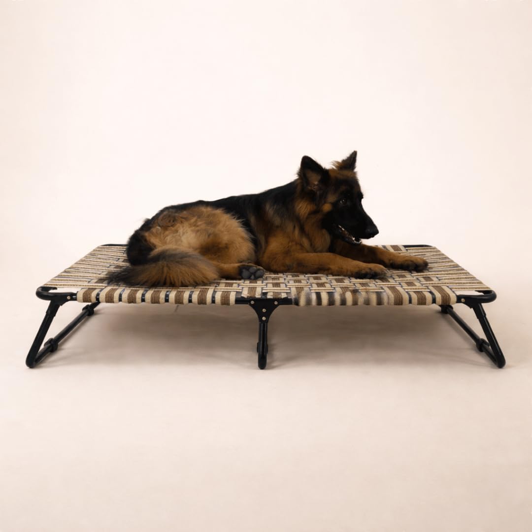 CanineJoy Gears HeavyDuty Foldable Elevated Dog Pet Bed | Supports 130kg | Niwar Webbing | 45  27  9 Inch | Full Folding Frame 