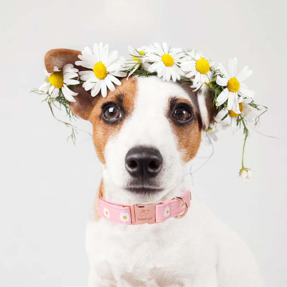 Babole Pet Spring Dog Collar, Cute Pink Daisy Femal Pet Collar With Metal Buckel, Durable Adjustable Designer Dog Collars For Sm