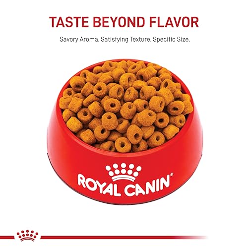 Royal Canin Labrador Retriever Adult Dry Dog Food, 30 lb bag