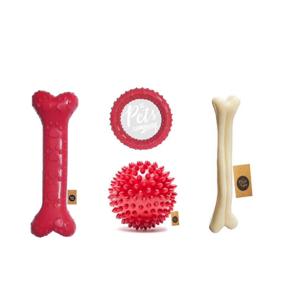 The Pets Company Rubber Dog Chew Toy Combo (Dog Bone 6 + Spike Ball 3+ Ring Toy 4.5 + Plastic Bone 7) | Teething Toys For Pu