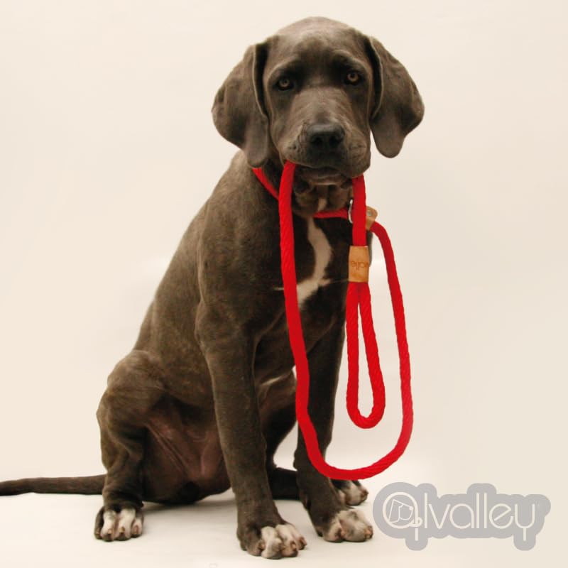 Alvalley Rope Dog Leashes With Stopper - Pet Slip Leads For Dogs - Soft Braided No-Pull Gentle Leash - Adjustable For Small, Medium, Large And Extra Large Dogs (Black, 4Ft Long, 13Mm Thick)