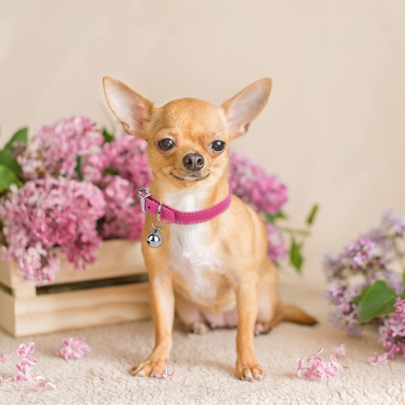 Chengfu Xxs Dog Collar Teacup Dog Collar, Pink Dog Collars, Teacup Dog Collars For Small Dogs Cats, Pink, 3/8 Inch Width