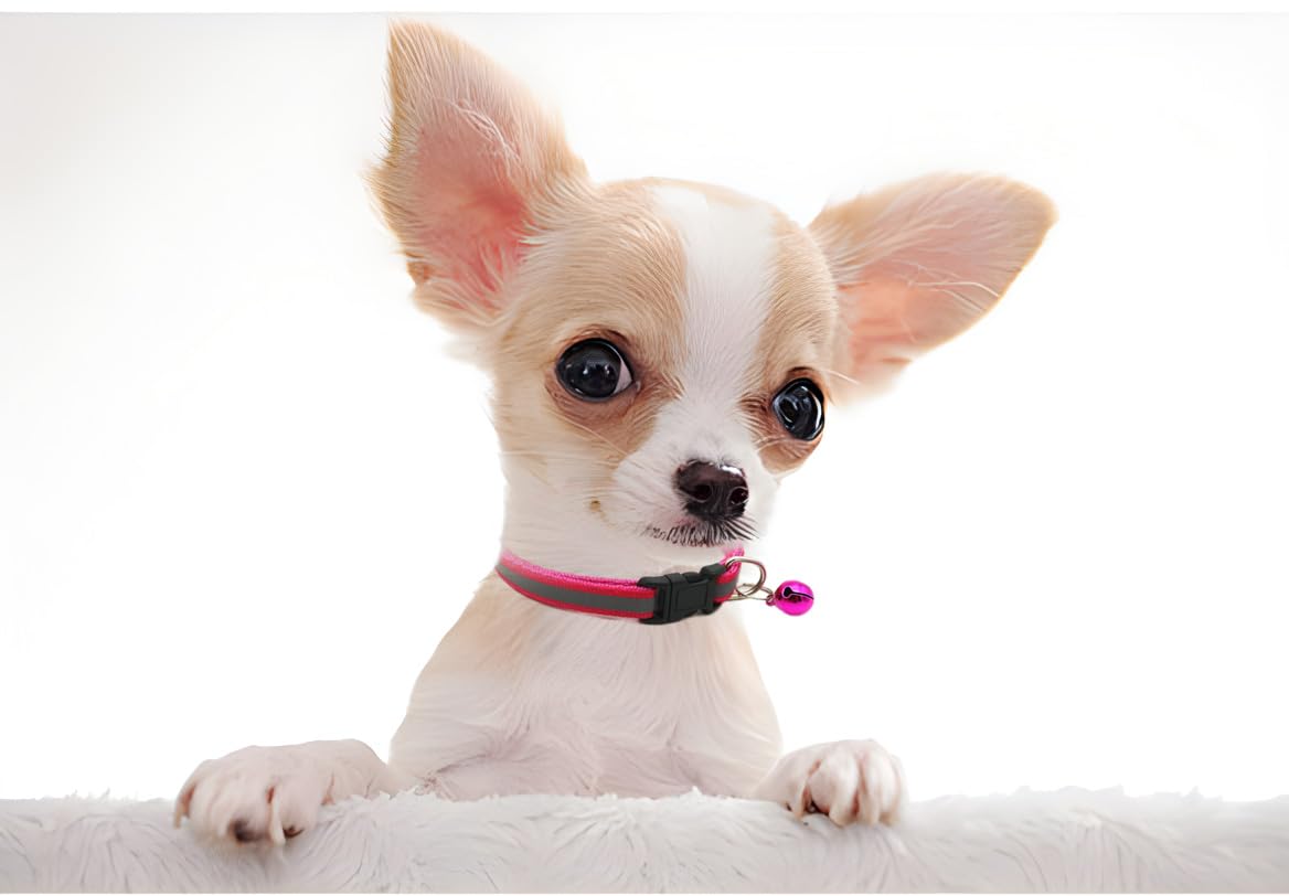 Hot Pink Puppy Collar With Bell, Reflective Xs Cat Collars Soft Adjustable Buckle For Xxs Xsmall Extra Small Dogs Female Little