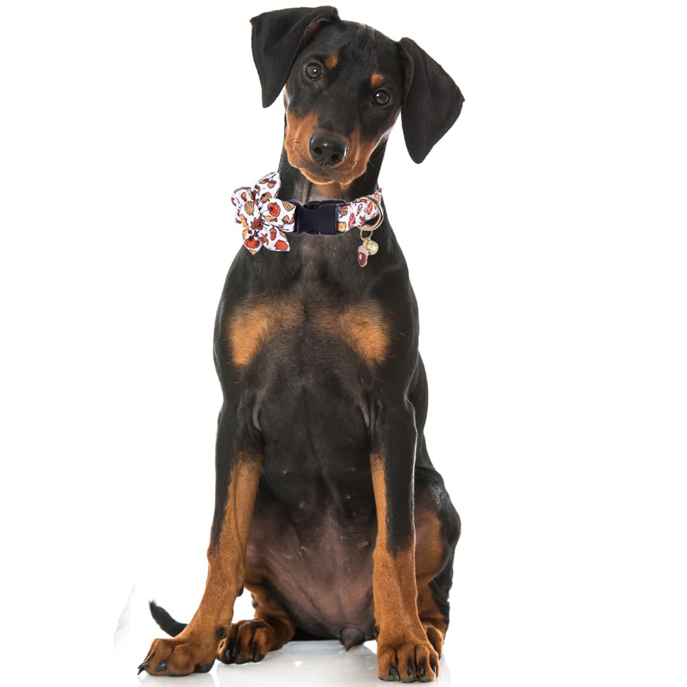 Thanksgiving Day Dog Collar Fall With Sunflower And Bell Autumn Holiday Adjustable Pet Collars For Dogs (Acorn,Large)