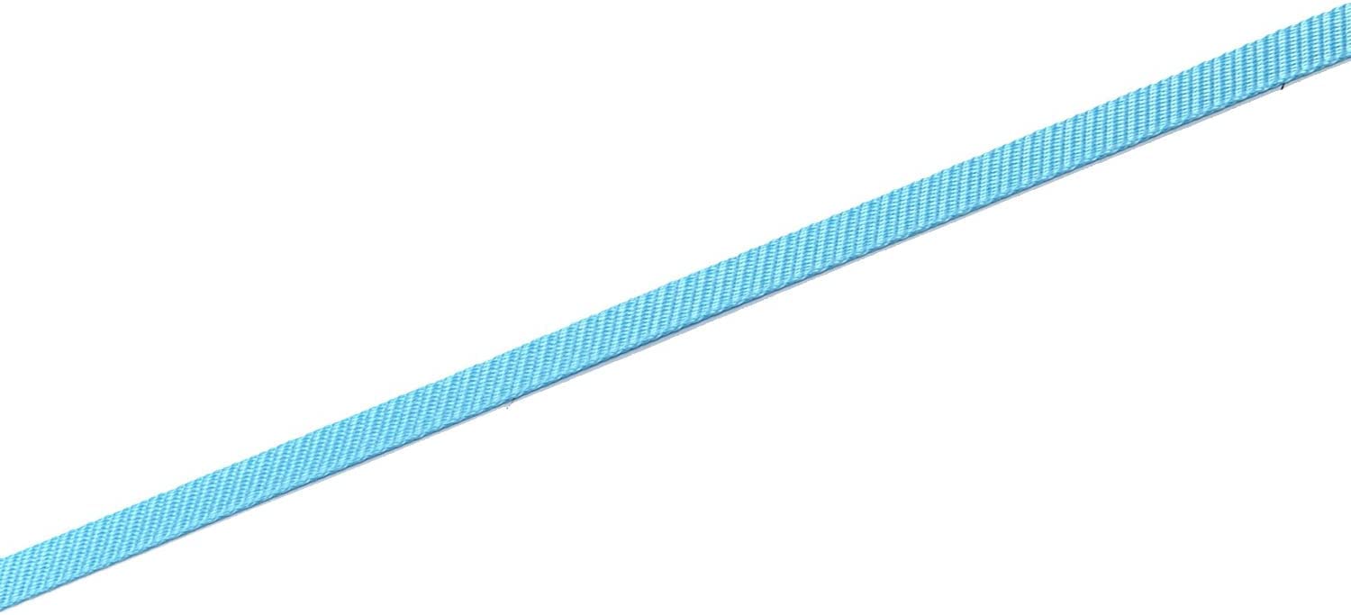 Nylon Dog Leash 8 Feet Long, Walking Training Dog Leashes For Medium Large Dogs(1'' X 8 Ft, Blue)