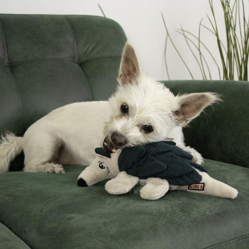 KONG Layerz Forage - Crackle Material with Plush Pockets for Treat Dispensing - Dog Toy (Armadillo)