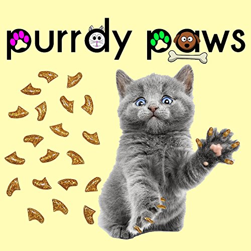 Purrdy Paws 40 Pack Soft Nail Caps For Cat Claws Gold Glitter Kitten