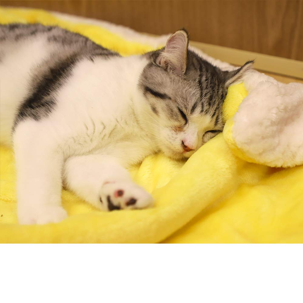 Furrybaby Premium Fluffy Fleece Dog Blanket, Soft And Warm Pet Throw For Dogs & Cats