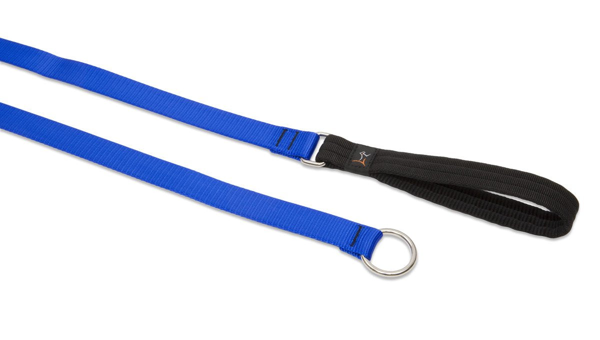 LupinePet Basics 1 Blue 6-foot Slip Lead/Leash for Medium and Larger Dogs