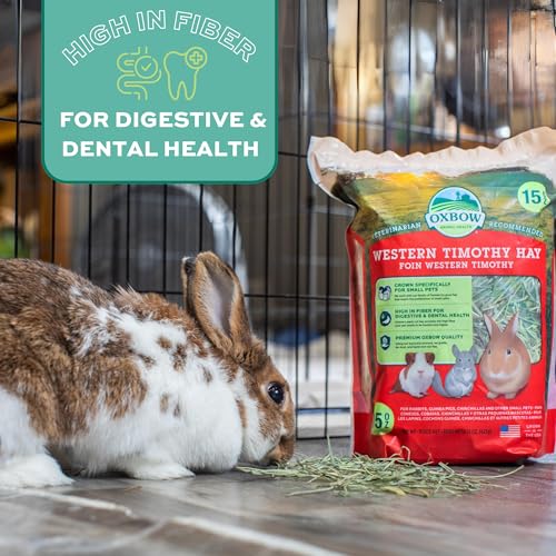 Oxbow Animal Health Western Timothy Hay- Veterinarian Recommended- Hay for Rabbits, Chinchillas, Guinea Pigs & Other Small Pets-