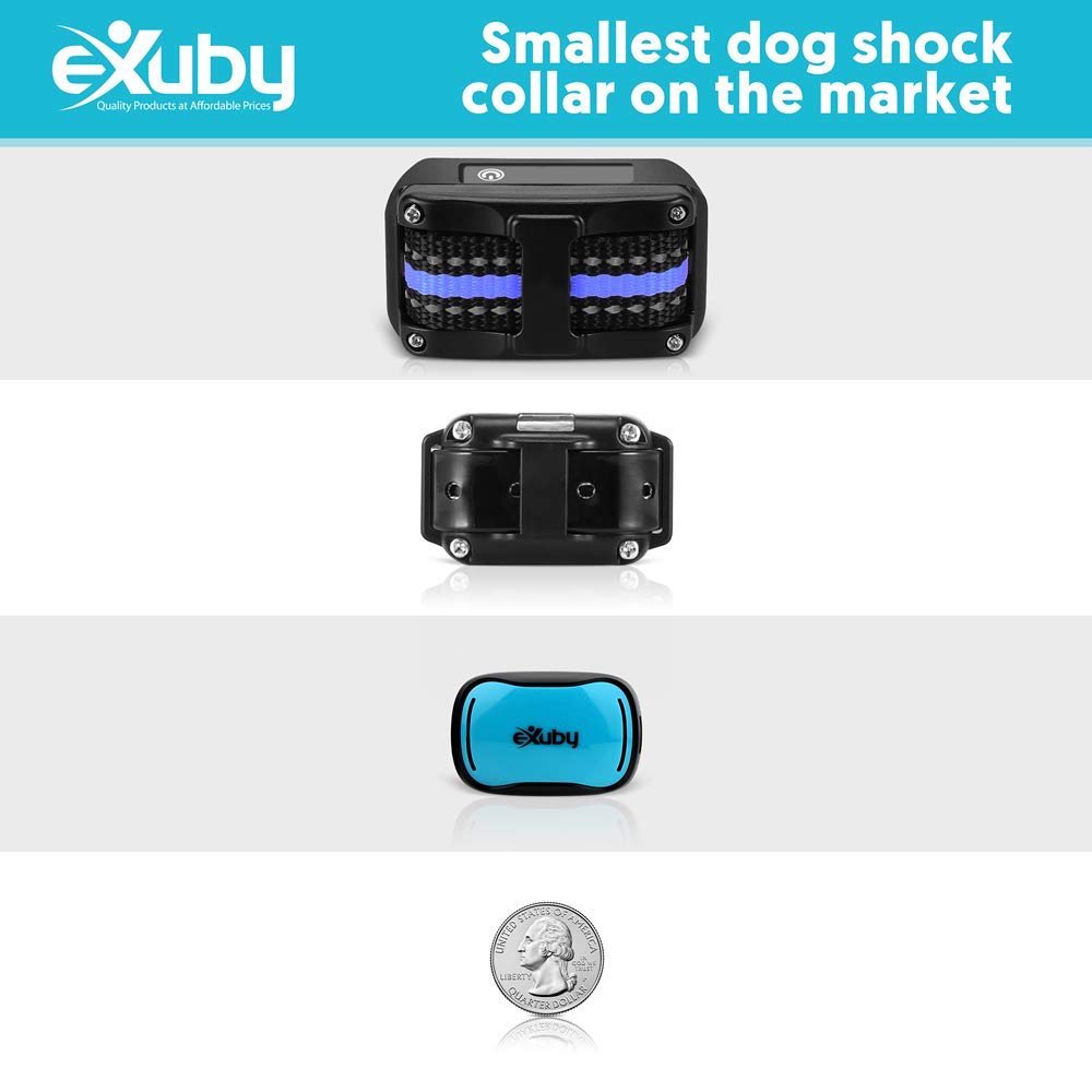 eXuby Tiny Shock Collar for Small Dogs 5-15lbs - Water-Resistant, Teal, Model EXBTZ812, 9 Intensity Levels, Small Size, Plastic Material