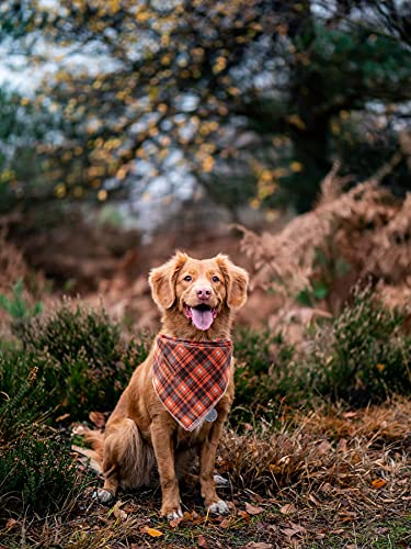 Lionheart Glory Fall Dog Bandana 1 Pack Washable Soft Cotton Halloween Bibs Scarf, Adjustable Kerchief Square Dog Bandanas For Large Dogs