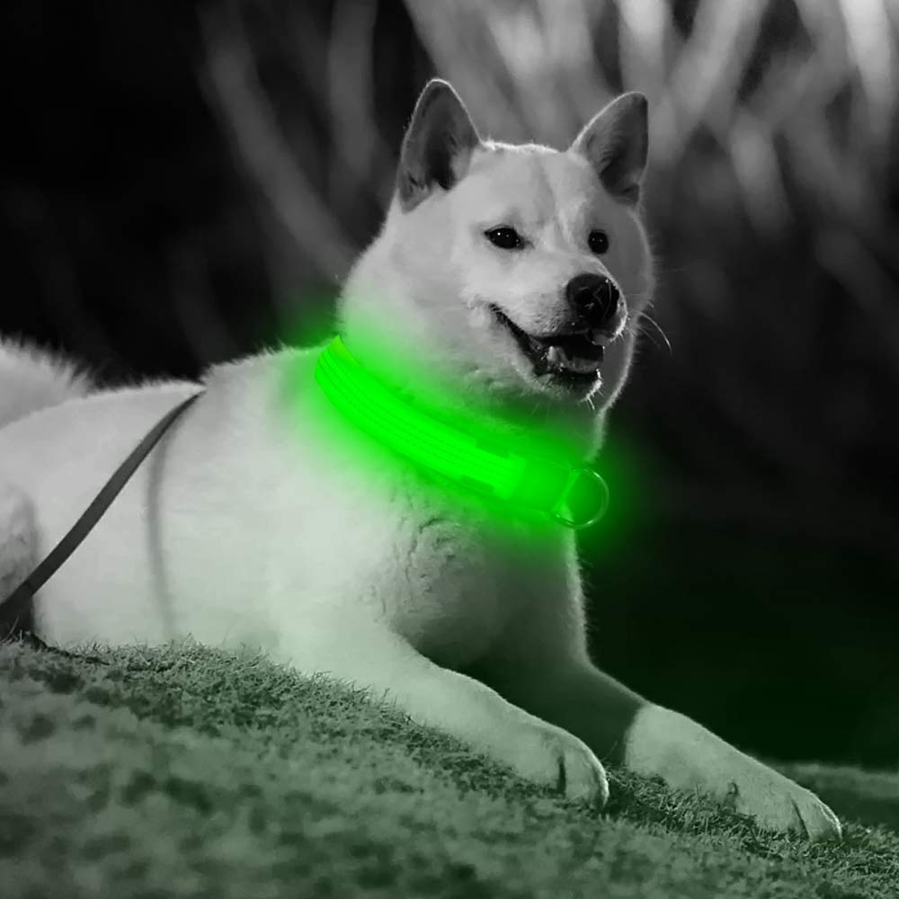 Illumifun Light Up Dog Collar, Usb Rechargeable Led Dog Collars Glow In The Dark, Reflective Glowing Safety Collar Light For Your Large Dogs Walk At Night (Greenⅲ, Large)