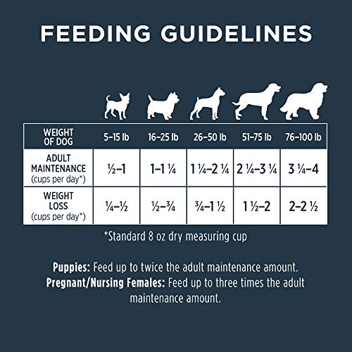 Instinct Raw Boost Grain Free Recipe with Real Chicken Natural Dry Dog Food, 4 lb. Bag
