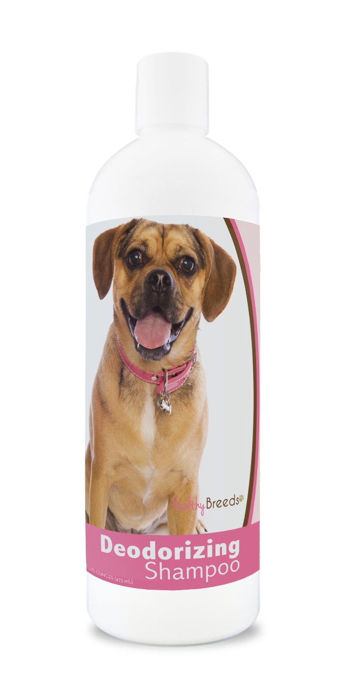Healthy Breeds Puggle Deodorizing Shampoo 16 oz