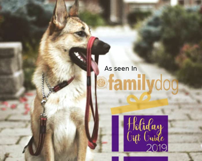 Rogz Utility Medium 5/8-Inch Reflective Snake Obedience Half-Check Dog Collar, Chocolate