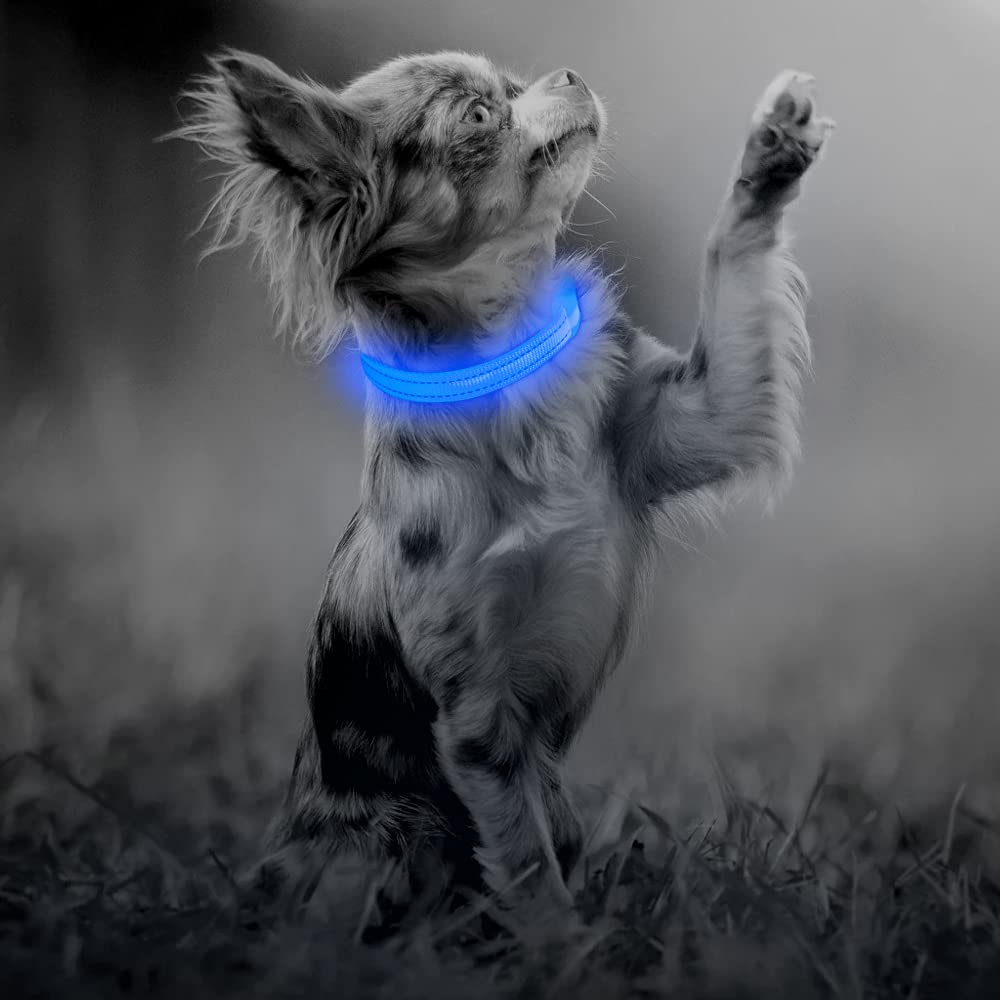Illumifun Led Collar For Small Dog, Usb Rechargeable Dog Safety Collar Light, Adjustable Nylon Webbing Light Up Collar For Your Pups (Blue, X-Small)