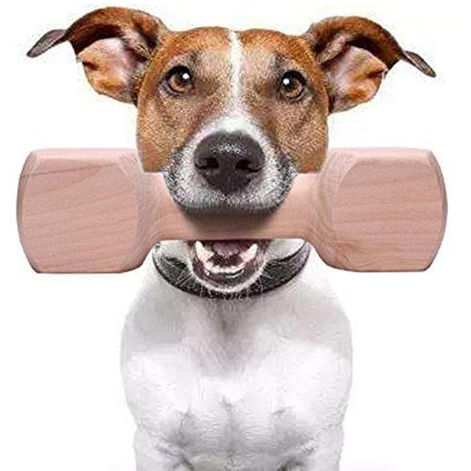 Pups&Pets Wooden Dumbbell Chew Toy Suitable For Dogs And Puppies By 100% Natural Solid Wood Training Tool  Keeps Teeth And Gums