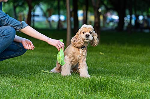Ecojeannie Dog Poop Bag Dispenser With Stainless Steel Carabiner Clip (Pb0007)- Dog Waste Poopbags Holder With Lavender Sented Poop Bag