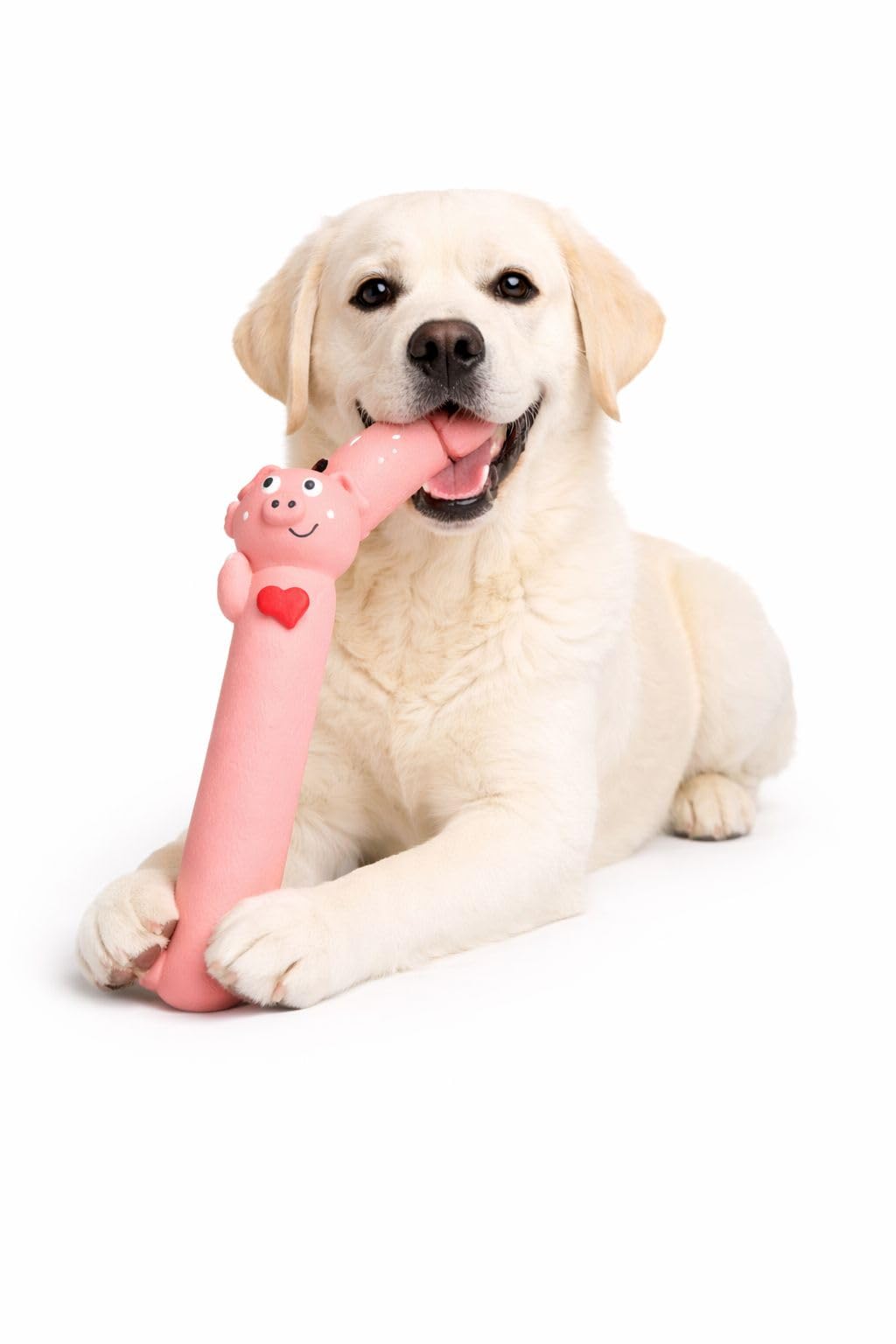 WAGGYTAILS Premium Squeaky Dog Toy (Made in U.K) Long Stretchable Pig Face | Rubber Chew Toy for Dogs | Interactive Sound Toy fo