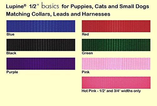 LupinePet Basics 1/2 Blue 6-Foot Padded Handle Leash for Small Pets