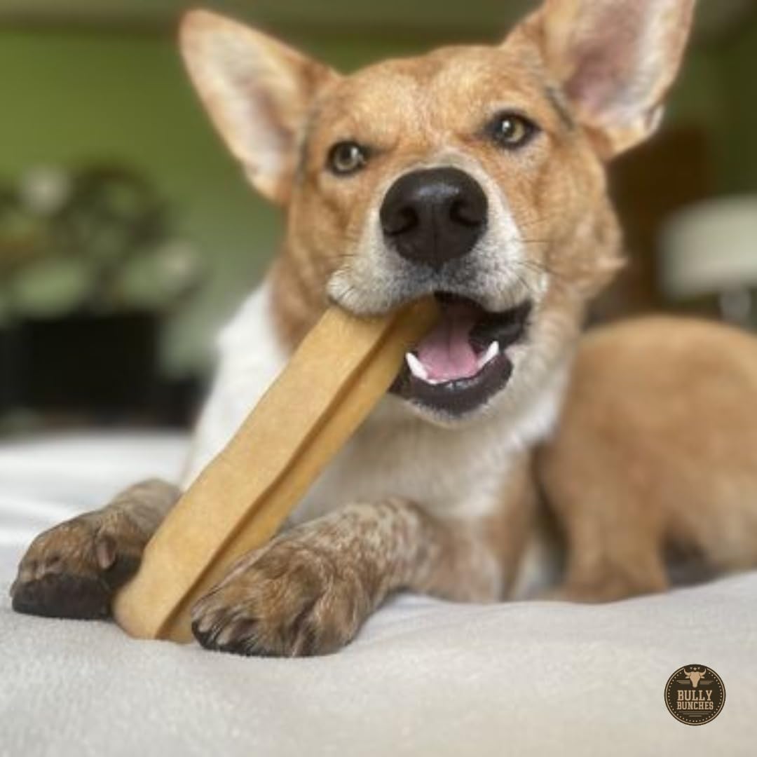 Bully Bunches Extra Large Authentic Yak Cheese Himalayan Chews for Large Dogs & Aggressive Chewers - All Natural Dog Treat Denta