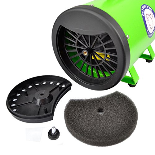 Flying Pig Grooming High Velocity Dog Grooming Dryer with Heater - 2 Piece Set, Model: Flying One, Green