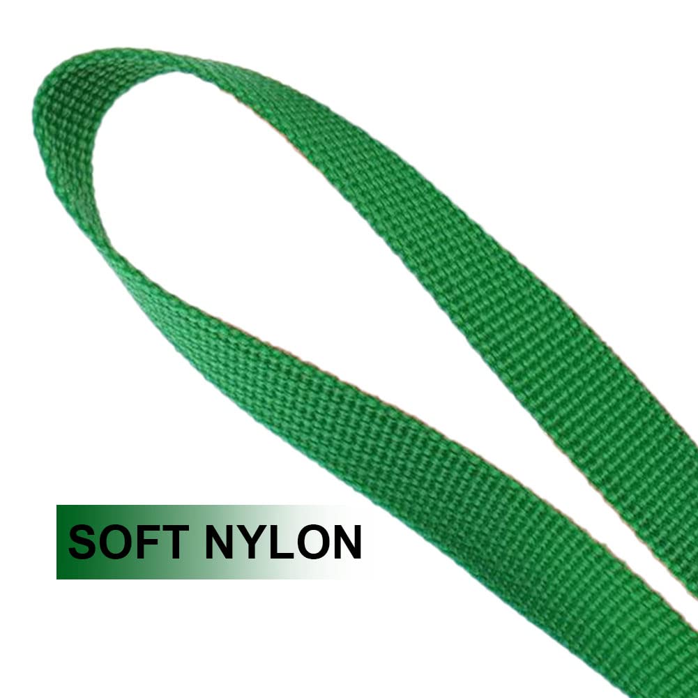 Litewoo 6 Packs Slip Lead Dog Leash, Durable And Comfortable For Cats, Dogs And Other Small Animals