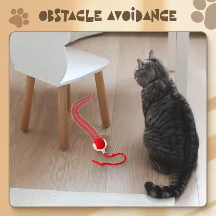 Zykornium Interactive Cat Ball Toy, Automatic Moving Smart Ball, Usb Rechargeable, Self-Rolling With Faux Tail, 360 Motion, Mimi