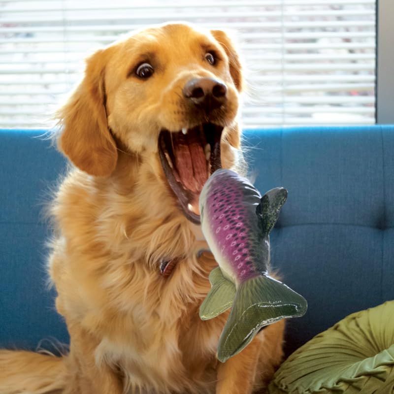 Kong Wild Shield Fish Shaped Dog Toy For Medium Breeds (Trout)