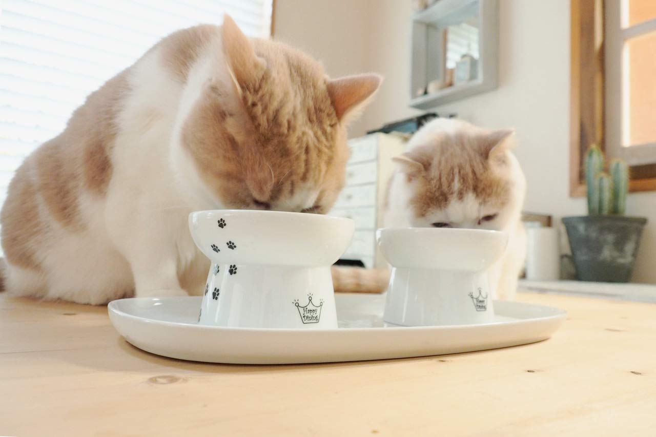 Raised Cat Bowls and Double Dining Tray Set (Cat)