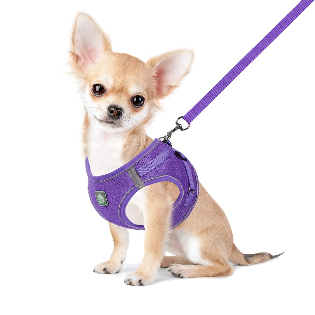 Feimax Dog Harness And Leash Set, No-Pull Breathable Soft Mesh Puppy Vest Harness Reflective Adjustable Pet Harnesses For Small Medium Dogs And Cats - Outdoor Easy Control For Walking