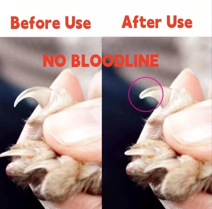Generic Quality Animal Tool Pet Nail Clipper Pet Grooming Stainless Steel Dog Cat Nail Clippers Pet Clipper, Black