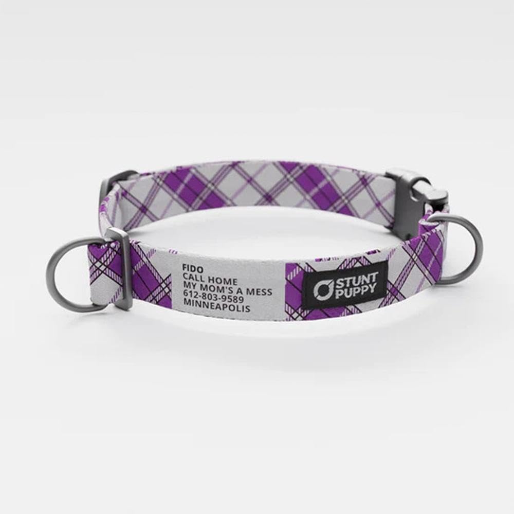 Lumberpup Smoke Everyday Collar Extra-Large