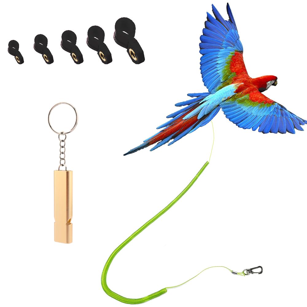 Parrot Bird Harness Leash Anti-Bite Outdoor Flying Training Rope With 5Pcs Different Sizes Of Soft Foot Loops And Training Whist