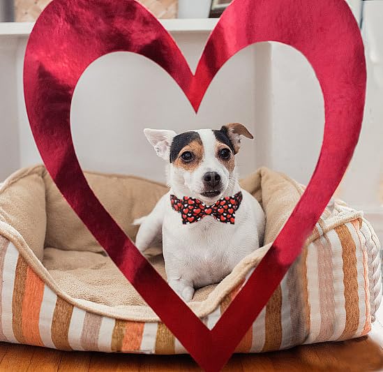 Lionet Paws Valentine'S White Dog Collar, Cute Heart Black Dog Collar For Large Dogs, Adjustable Cotton Love Pet Collars For Med