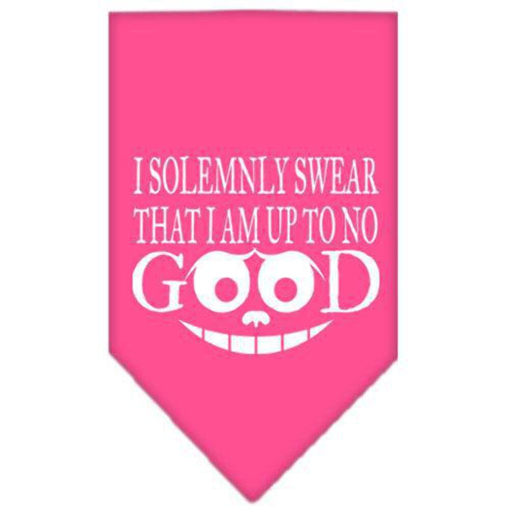 Pet and Dog Bandana Screen Printed, "I Solemnly Swear That I Am Up To No Good" Grey Small
