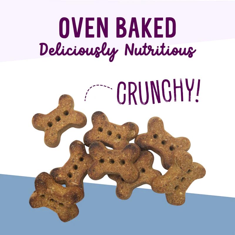 Health Extension Oven-Baked Dog Treats, 6oz (170g), Lamb & Blueberry Recipe - Gluten & Grain-Free, Superfood-Infused, Crunchy Bi