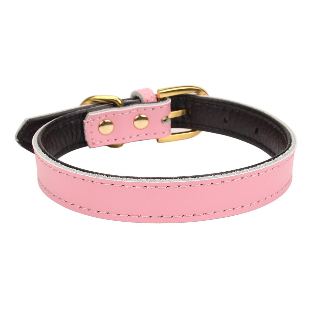 Aolove Basic Classic Padded Leather Pet Collars For Cats Puppy Small Medium Dogs (Pink, Medium)