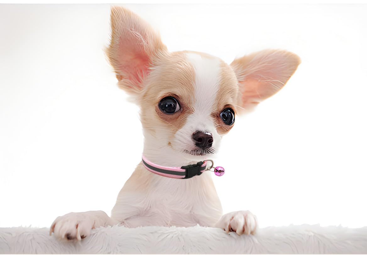 Light Blue Xs Dog Collar With Bell, Reflective Cat Collars Girl Soft Adjustable Buckle For Xxs Xsmall Extra Small Puppy Female M