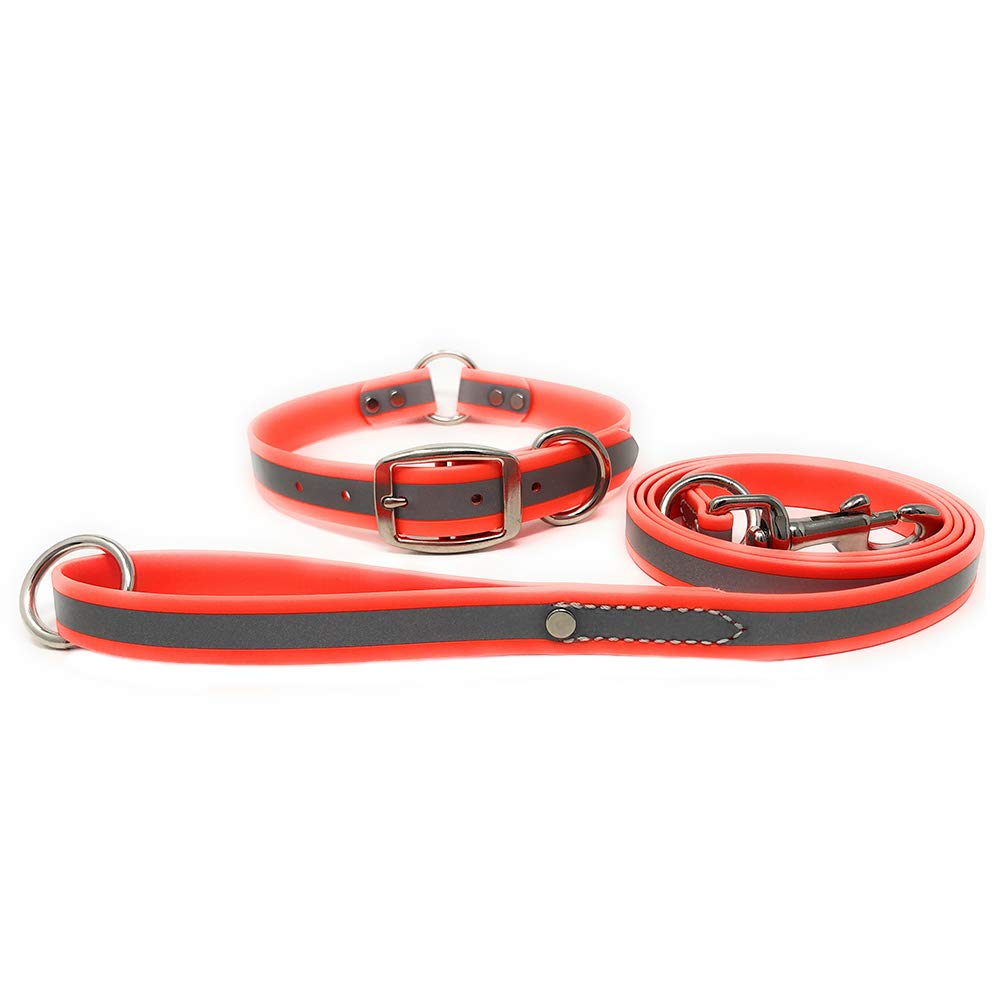 Regal Dog Products Medium Orange Reflective Dog Collar And Leash Set - Waterproof Biothane Dog Collar With Heavy Duty D Ring, Center Ring & 5'Ft Leash For Training - Other Sizes For Small & Large Dogs