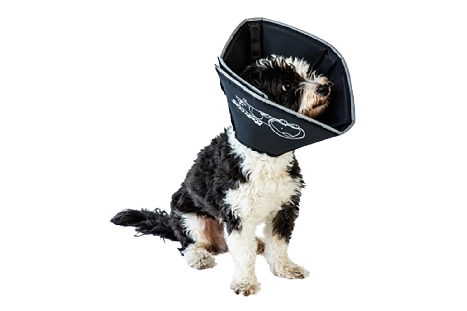 All Four Paws Comfy Cone Pet Cone for Dogs, Cats, Small, Black  Comfortable Soft Dog Cone Collar Alternative for After Surgery,