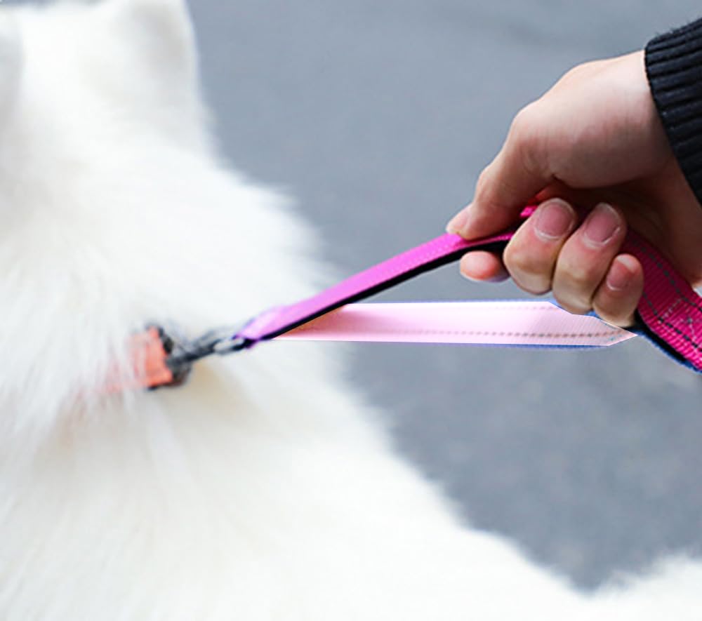 Kubemueg Hands Free Dog Leash With Reflective Stitching Heavy Duty Bungee With Car Seatbelt Adjustable Waist Leashes For Walking