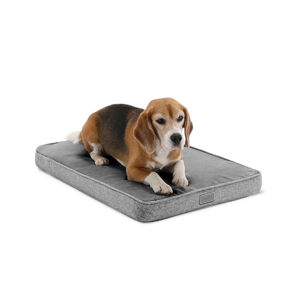 Diggs Snooz Memory Foam Dog Bed - Ideally Sized Revol Dog Crate Pad - Premium Orthopedic Pet Bed for Crate or Home - Grey, Mediu