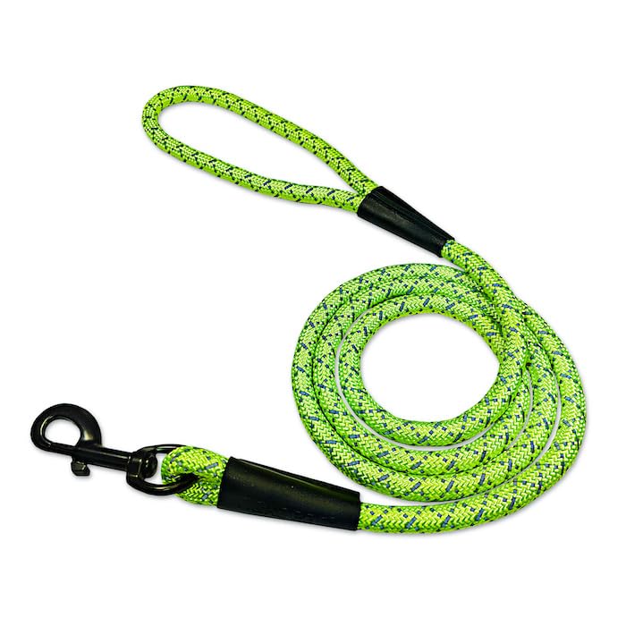 Noxgear LightHound (Large) + High-Visibility Dog Leash - Illuminated and Reflective Harness for Dogs Including Multicolored LED