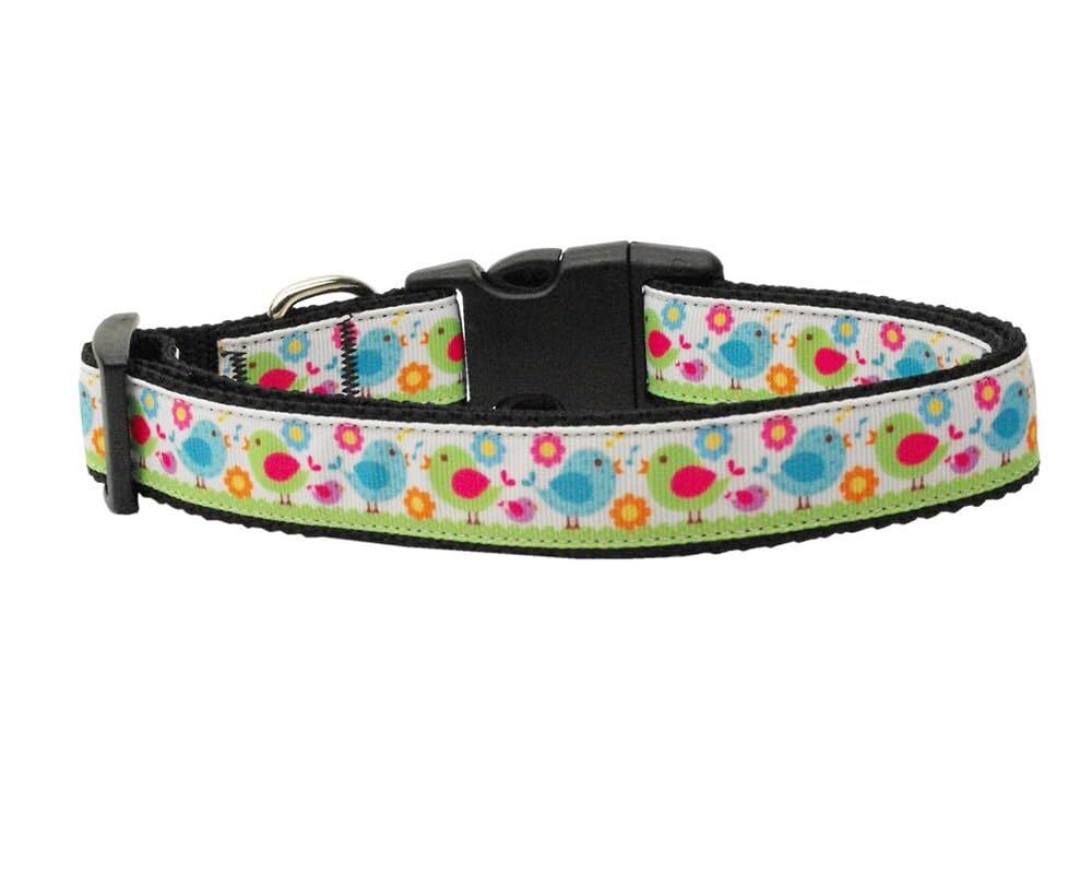 Pet Dog & Cat Nylon Collar or Leash, "Chirpy Chicks" MD Narrow Collar